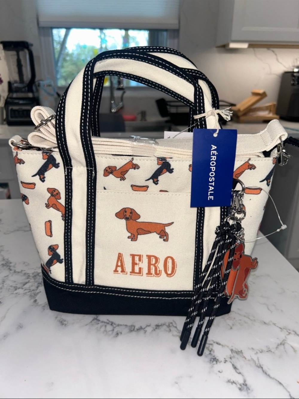 Aéropostale 'Aero' Dachshund Print Canvas Tote